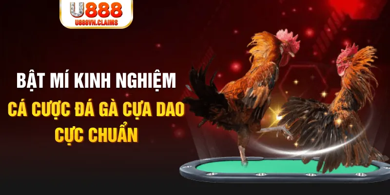 33win9 com trong baccarat, ai là người chia bài chính？