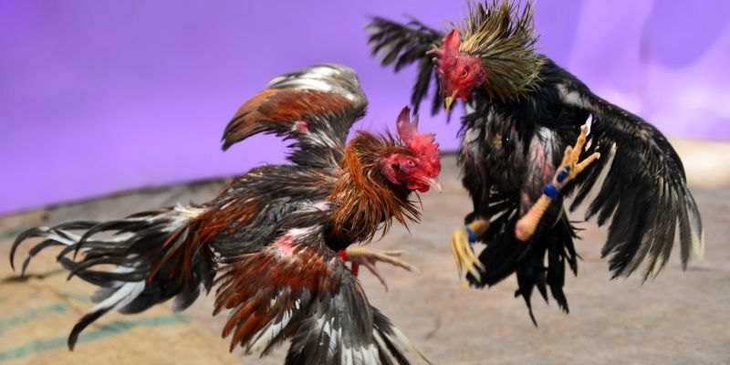 33win9 com nổ hũ tiếng anh là gì