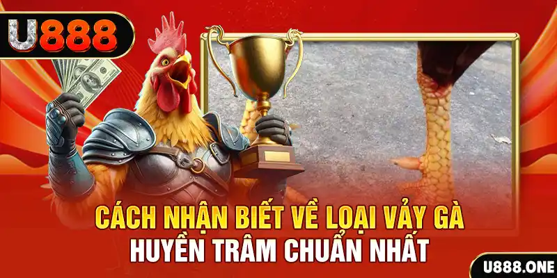 33win9 com Chú hề Patty tuổi teen