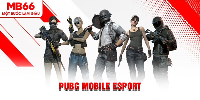 33win9 com gà chọi c1 mới nhất