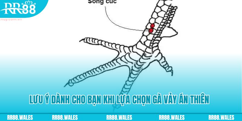 33win9 com how to play roulette at casino