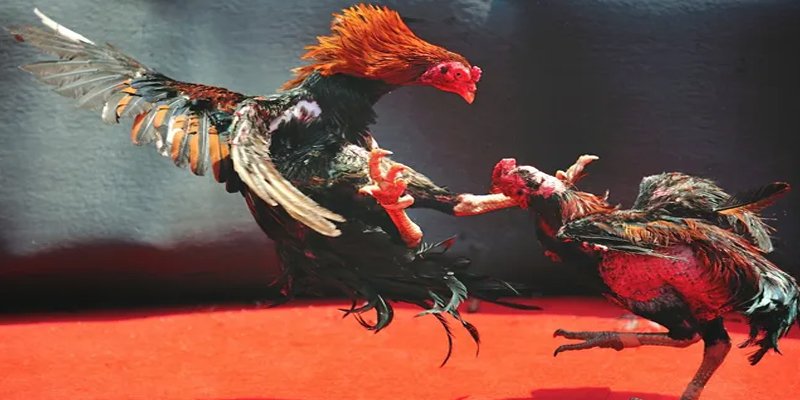 33win9 com đăng nhập nổ hũ số 1