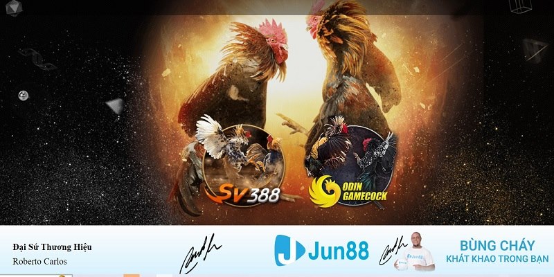 33win9 com may tinh casino