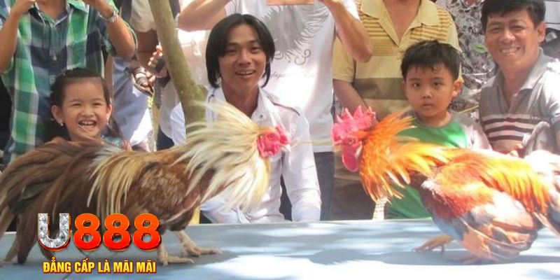 33win9 com mơ thấy nổ hũ đánh con gì