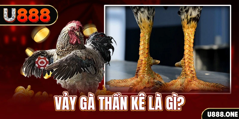 33win9 com xổ số miền bắc thứ tư hàng tuần