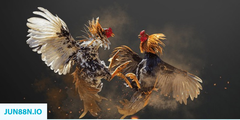 33win9 com bắn cá long vương