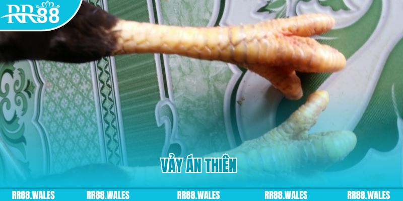 33win9 com who wants to be a millionaire slot