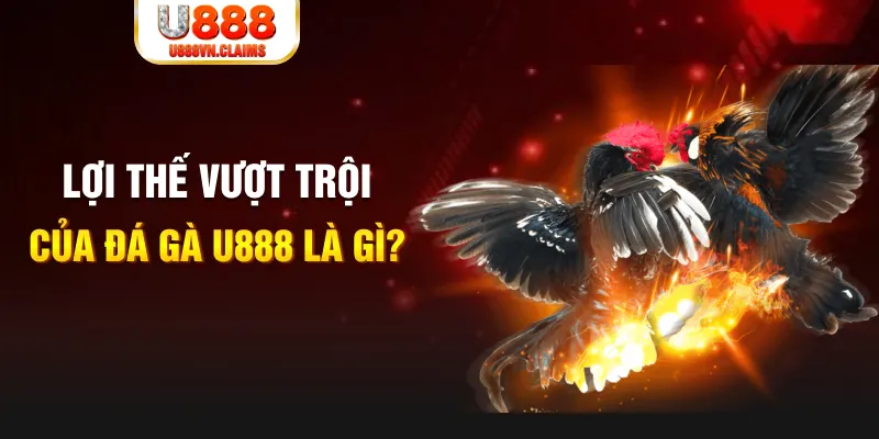 33win9 com 888 slot là gì